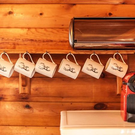 3 Bedroom Log Cabin In Snowdonia Nr Mtb Trails Tanygrisiau Exterior photo